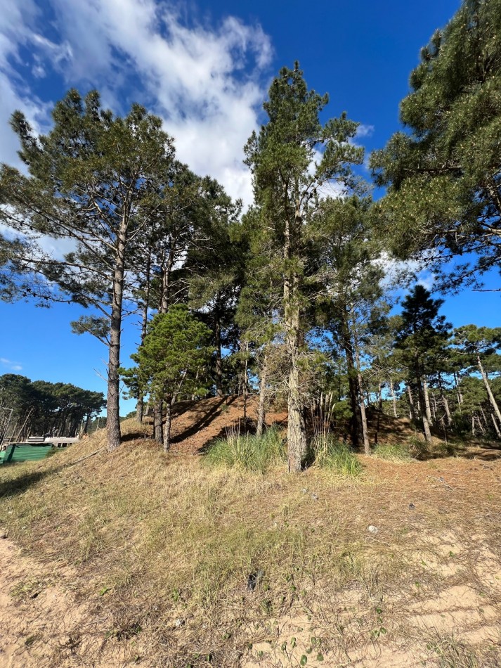 Terreno en venta en Barrio Pioneros