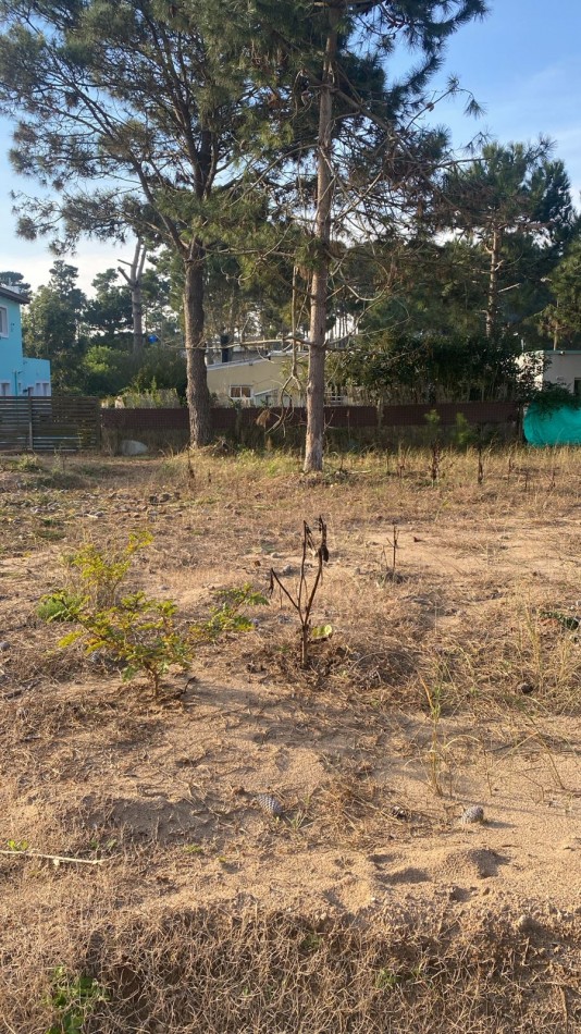 terreno  en pinamar 