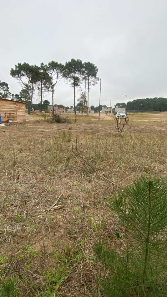 terreno  en pinamar 