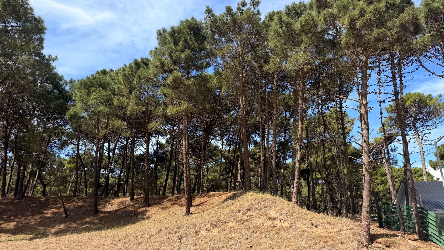 OPORTUNIDAD LOTE EN VENTA EN BARRIO PIONEROS