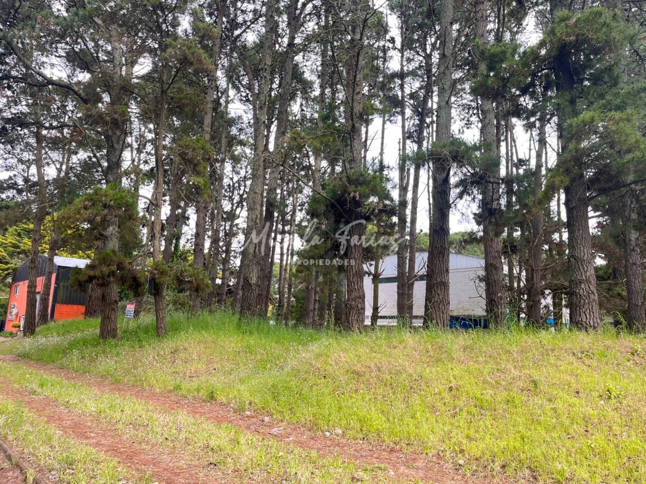 Lote artesanal en venta a metros de Av. Intermedanos - Pinamar