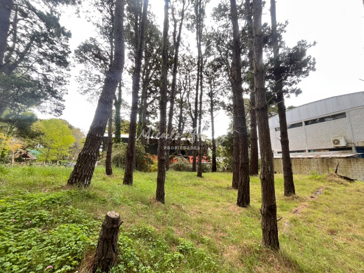 Lote artesanal en venta a metros de Av. Intermedanos - Pinamar