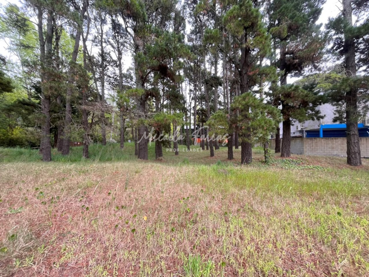 Lote artesanal en venta a metros de Av. Intermedanos - Pinamar