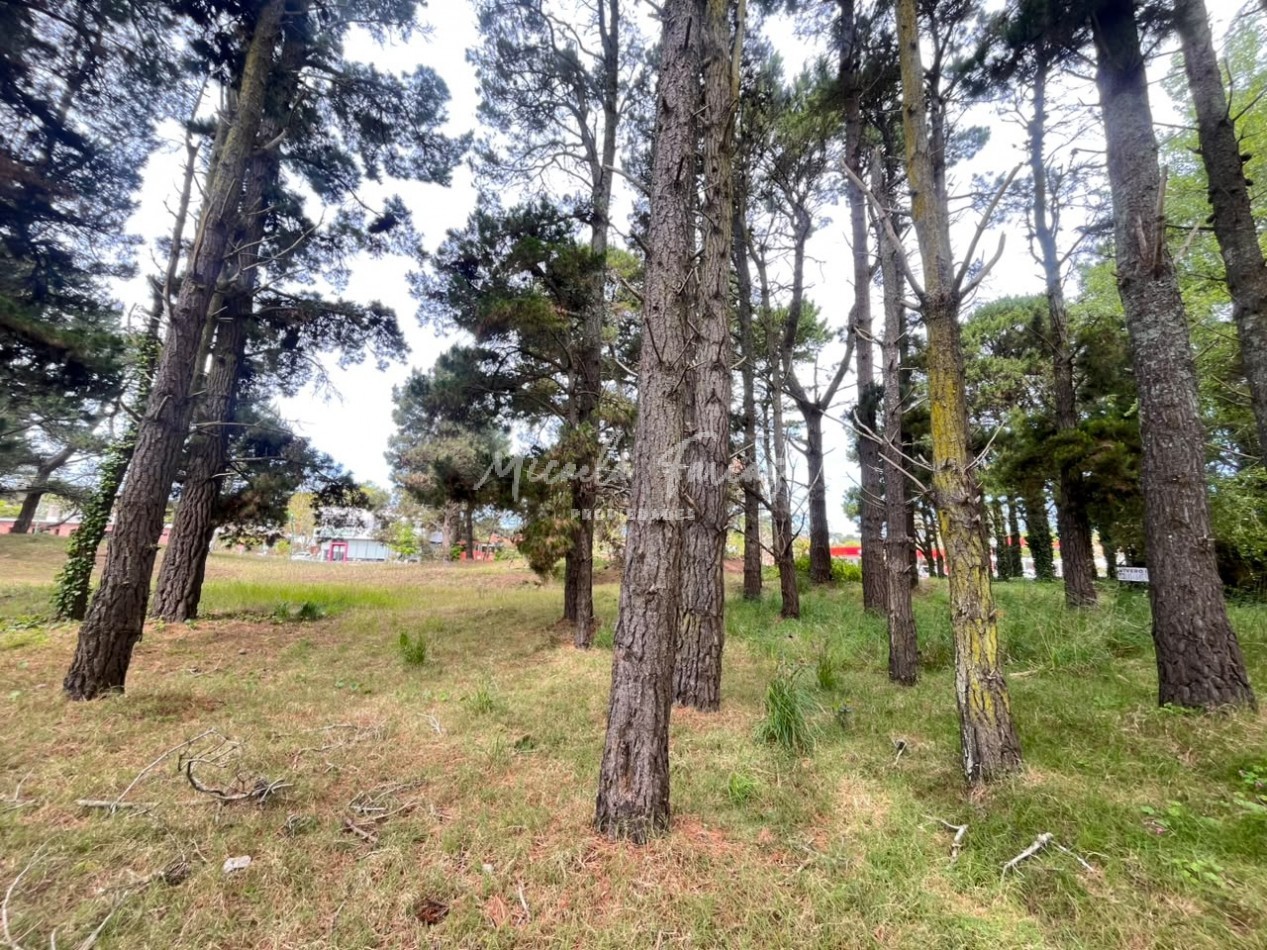 Lote artesanal en venta a metros de Av. Intermedanos - Pinamar