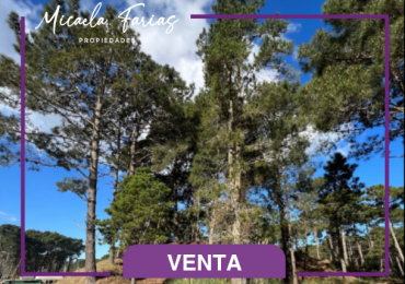 Lote en venta en Barrio Pioneros Pinamar