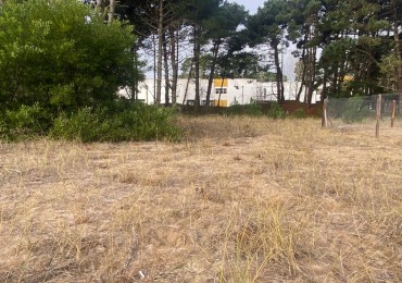 Terreno en VENTA en pinamar