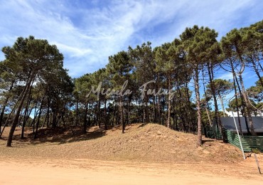 OPORTUNIDAD LOTE EN VENTA EN BARRIO PIONEROS